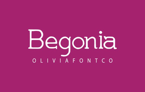 Begonia Font: A Romantic Script for Your Brand