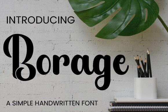 Borage Font: A Handwritten Typeface for Polished Branding