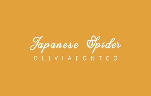Japanese Spider Font for Brand Identity